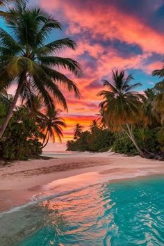 the sun is setting over a tropical beach with palm trees and blue water in the foreground