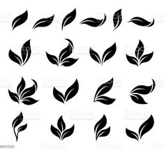 black leaves on white background royalty photo