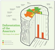 an info poster with the words deforestation of the america's