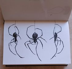 three black and white spider drawings in a box