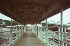 the walkway is lined with white railings and metal posts, leading to an open area