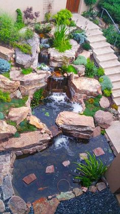 a small pond in the middle of a garden with steps leading up to it's entrance