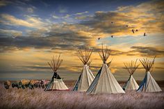 a group of teepees sitting in a field with birds flying over them at sunset