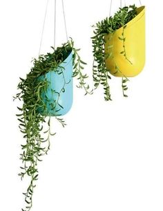 two hanging planters filled with green plants