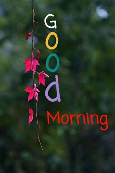 the word good morning written on a window with red leaves hanging from it's side