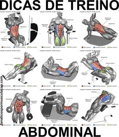 the diagram shows how to do an abominal workout with muscles and tendors