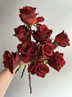 a hand holding a bouquet of red roses