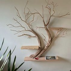 there is a tree that has been made out of wood and branches on the wall