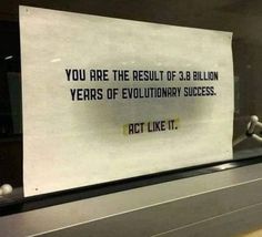 a piece of paper taped to the side of a window with writing on it that reads, you are the result of 38 billion years of evolution success act like it