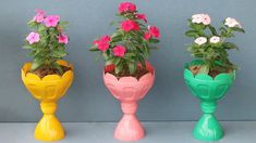 three different colored flower pots with flowers in them