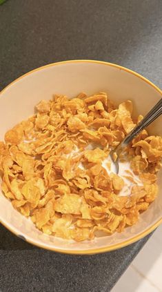 a bowl filled with cereal sitting on top of a counter