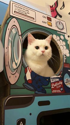 a white cat sitting inside of a washing machine