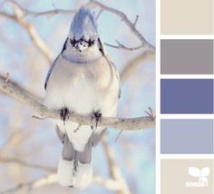 a bird sitting on top of a tree branch in front of blue and gray colors