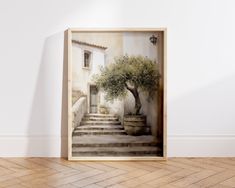 an olive tree in a pot sitting on the steps next to a wall with a door