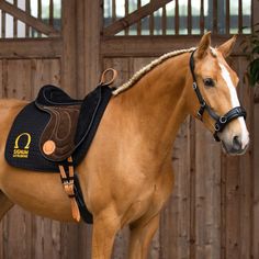 a brown horse standing in front of a wooden fence with a saddle on it's back