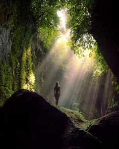 a person standing in the middle of a forest with sunbeams shining down on them