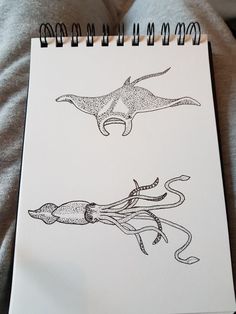 a drawing of an octopus and squid