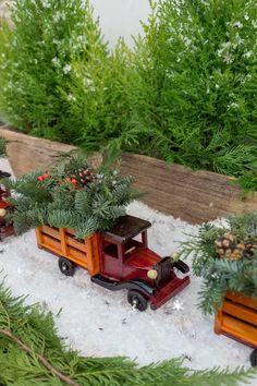 small christmas trees in wooden train cars on snow covered ground with evergreens and pine cones