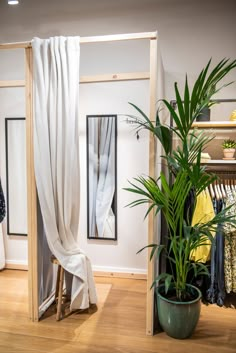 a plant in a green pot sitting next to a white curtain on a wooden floor