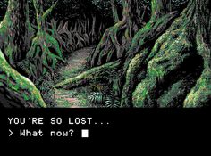 an old video game screen with the title you're so lost what now?