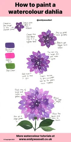 purple flowers with green leaves and the words how to paint a watercolor dahlia