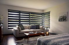 a living room with a couch, coffee table and window blinds on the windowsill