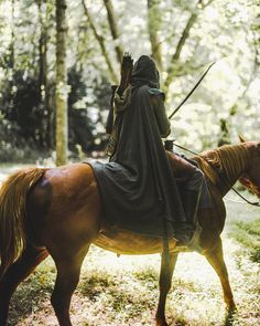 a man riding on the back of a brown horse through a forest filled with trees