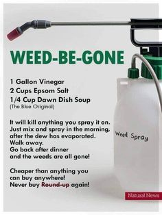 Pin on Gardening Killing Weeds, Lawn Pests, Garden Remedies, Garden Weeds, Home Vegetable Garden, Garden Yard Ideas, House Cleaning Tips, Lawn And Garden, Useful Life Hacks