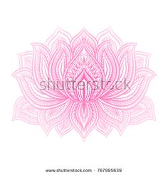 a pink lotus flower on a white background