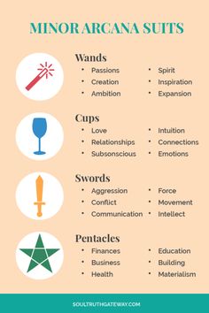 the different types of wine glasses