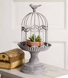 a birdcage with a succulent plant in it sitting on top of a table