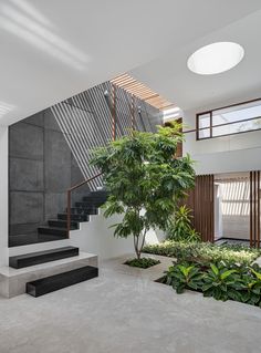 an indoor area with stairs, trees and plants