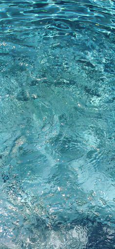 the water is very clear and blue with little ripples on it's surface