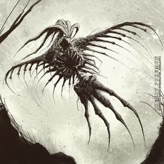 an artistic black and white drawing of a bird with large claws on it's wings