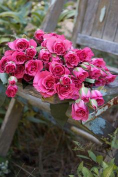 a bunch of pink roses sitting on top of a wooden bench