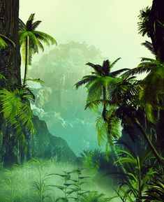 an image of a jungle scene with palm trees and ferns in the foreground, on a foggy day