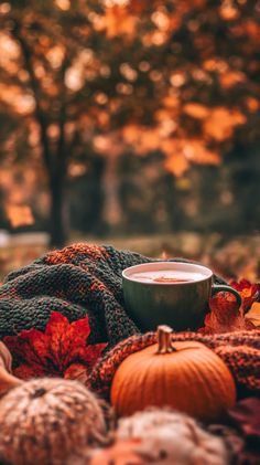 Helloween Wallpaper, Fall Wallpapers, Cute Fall Wallpaper, Autumn Magic, Fall Background, Autumn Scenes, Autumn Beauty, Fall Pictures, A Cup Of Coffee