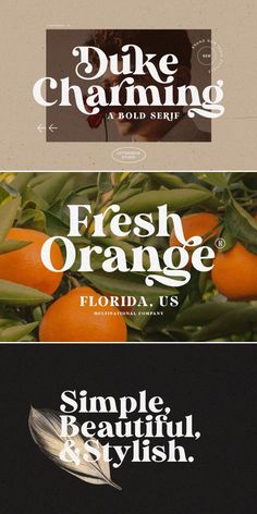 three different types of typefaces with the words fresh orange on them