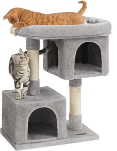 two cats are playing on top of the cat tree and one is looking at the other