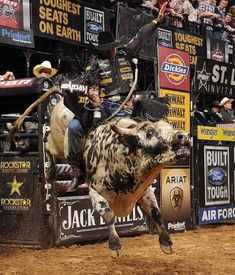 a man riding on the back of a bull at a rodeo