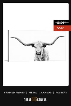 a black and white photo of a bull with long horns on it's head