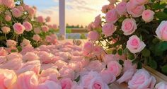 pink roses are growing on the side of a building