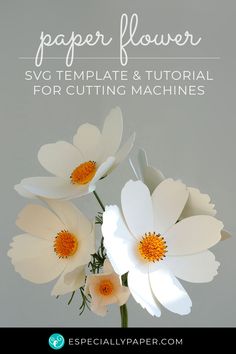 paper flowers with text overlay that reads, paper flower svg template & tutor for cutting machines