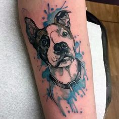 a dog is shown on the arm with blue paint splatters around it's head