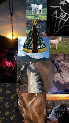 a collage of photos with horses and other things