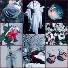 many different pictures of birds and flowers in the snow, with one bird wearing a white coat