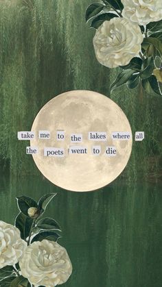 there is a painting with flowers and the moon in the sky above it that says, take me to the lakes where all the pees went to die