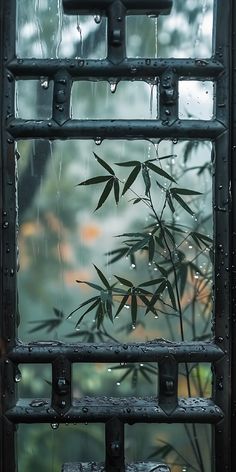 a bamboo plant is seen through a window with rain drops on the glass and metal bars