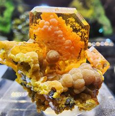 Wulfenite and Mimetite - Sonora, Mexico Horned Lizard, Minerals Museum, Rainbow Rocks, Beautiful Crystals, Beautiful Stones, Gadgets And Gizmos, Upcycled Crafts