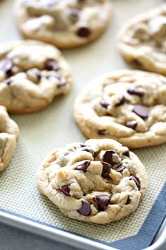 chocolate chip cookies on a cookie sheet ready to be baked in the oven for consumption